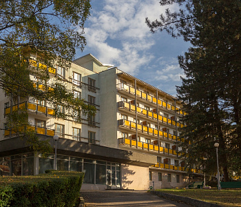 Санаторий «Пикет», Кисловодск. Территория